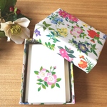 箱入り36種類 花のメッセージカード