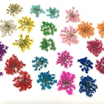 24枚　押し花　レジン　ネイル