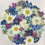  NO.378 お買得品❣️フラワーガーデン⑨／押し花素材