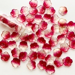 15個 チェコガラスビーズ  梅花 ビーズ ペタル 花びら 花弁 ザクロ＆ゴールド 