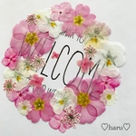 押し花素材　桜ピンクフラワーリース