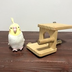 檜のアスレチックゲート（S）