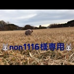 🐰non1116様専用🐰  