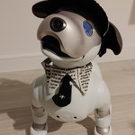 aibo アイボ アイボのアクセサリー ERS-1000