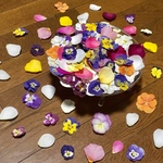 お花屋さんが作った春の彩りビオラと可愛いバラの花びら山盛り80冠‼️