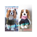 【オーダーメイド】うちの子♥犬人形  ぬいぐるみ