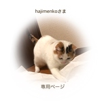 hajimenkoさま 専用ページ