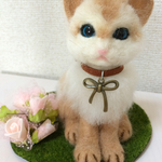 もふもふネコさん
