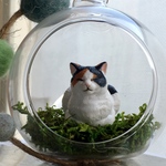  fujitani様専用ページ猫ドーム③