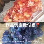 作品例画像付き❣️カシアバアジサイアレンジ加工小分け❣️ハーバリウムレジンアクセサリー花材プリザーブドフラワー