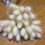 ラスト１点‼️お花屋さんが作ったふわっふわのラグラス30本‼️