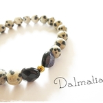 Dalmatian×BlueGoldStone*