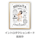 イントロダクションボード　追加分