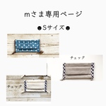 mさま専用ページです  立体マスク 3点セット