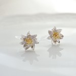 デイジー ノンホールピアス