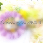 ◇koharumarun様専用◇