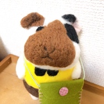 大きめサイズ✧︎モルモット人形✧︎三毛