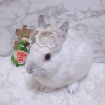 ♡ミニ帽子♡