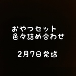 こちらは専用商品になります