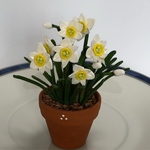 水仙の花鉢 エ　樹脂粘土　ミニチュア
