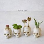 plants born （small human） 植物
