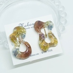 No.423 ボタニカル変形型　／イヤリング
