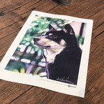 イロドリアル　長靴をはいた猫　複製ポスター
