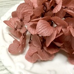 ゆめアジサイ　ローズ　２ｇ  プリザーブド 　ハーバリウム・キャンドル封入