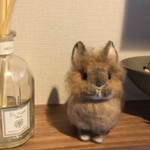 ほまれママ様専用