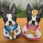 お雛様★ボストンテリア⑦