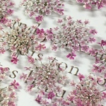 レースフラワーのドライフラワー　elegance  pink