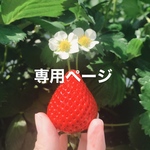 しの様専用ページ