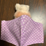 ⭐️専用⭐️大人用立体マスク