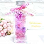 ꫛꫀꪝ✧‧˚*:.｡.Herbarium｡.:*　ハーバリウム