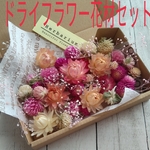 ドライフラワー☆花材セット