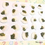 ♡new♡作家様必見♡ ♡スターチス押し花セット♡