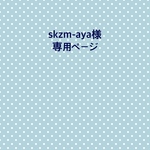 レッスンバッグ 連絡帳袋