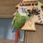 nai555様オーダー インコ　カスタムセット