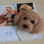 オーダーメイド うちの子ポンポン  ★ 犬  