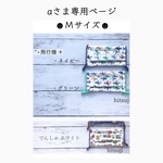 aさま専用ページです  立体マスク 3点セット