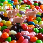 naonaohmdさまオーダー品＊