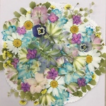 NO.388 お買得品❣️フラワーガーデン⑫押し花素材