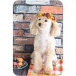 ワンちゃん用 花かんむり ☆秋バージョン