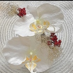 胡蝶蘭　和装　　髪飾り