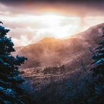 [数量限定] タロット　カード　占い　鑑定