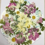 NO.396 お買得品❣️フラワーガーデン⑮／押し花素材