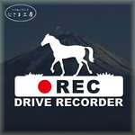 お馬さんのの白色シルエットステッカー‼後方注意‼『DRIVE　RECORDER』
