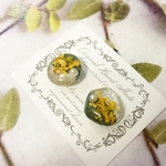 ひと粒さん〖 グリーンシルバー 〗✪ピアス(イヤリング)