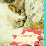 **sleeper S/O**  06さまオーダー品