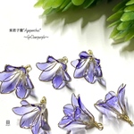 紫君子蘭～AgapanthusGカン付き クリアパープル